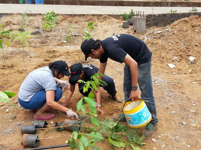 Environment and medicinal farming